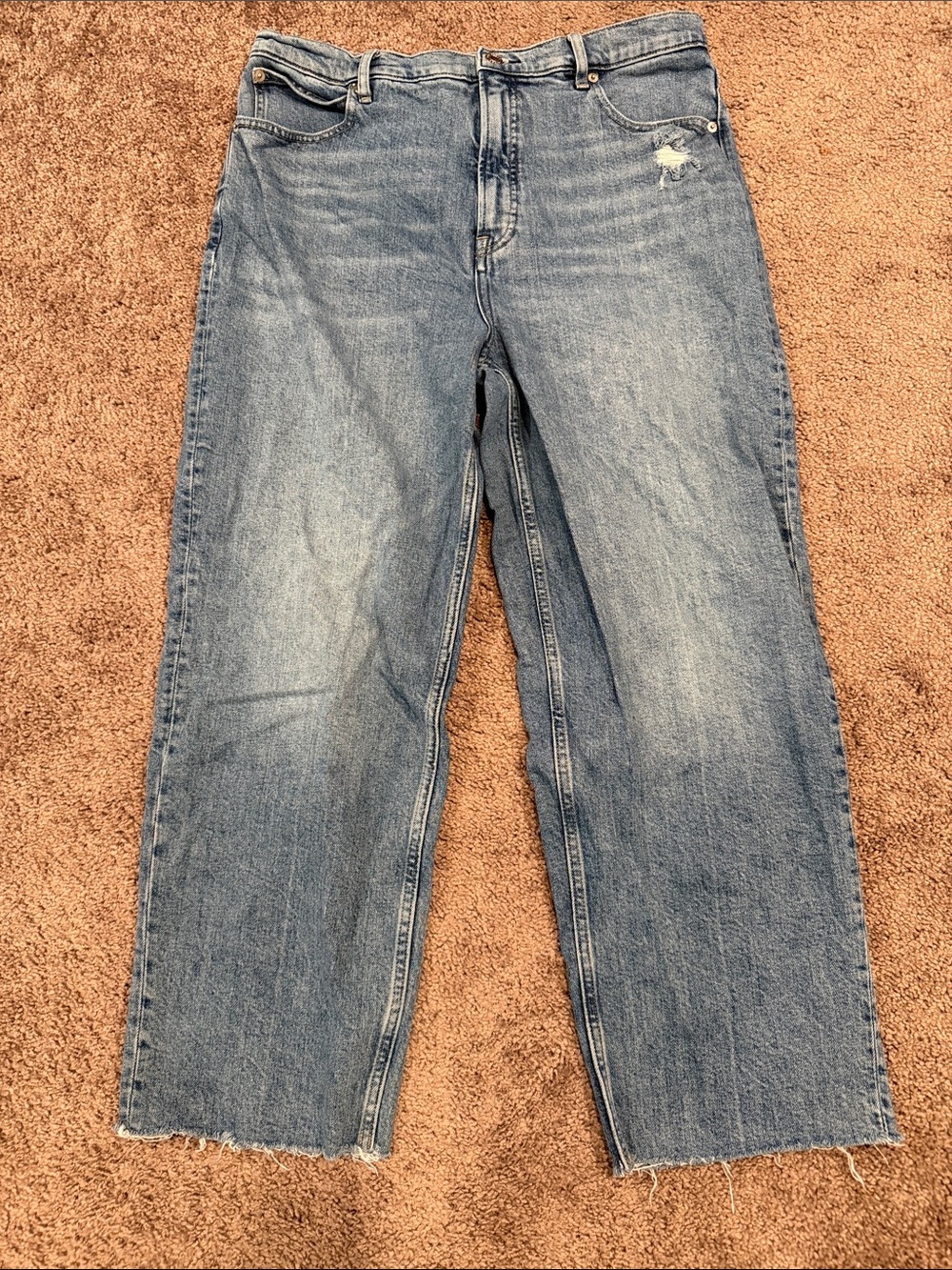 Everlane The Way-High Light Blue Cropped Straight Jeans